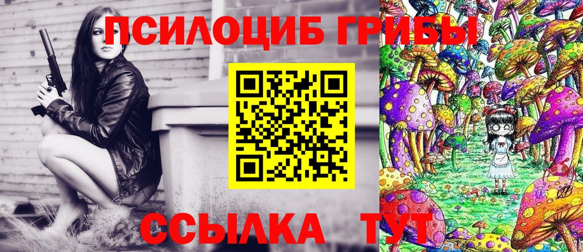 Псилоцибиновые грибы Magic Shrooms  Вход с VPN  Богданович 