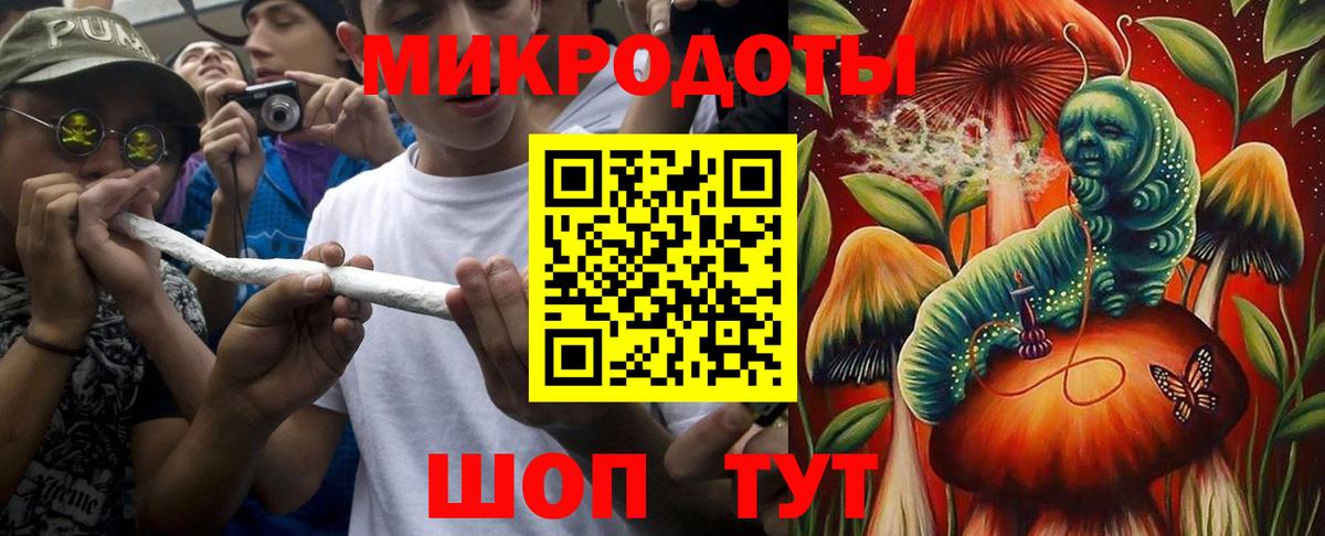 Галлюциногенные грибы мицелий Богданович